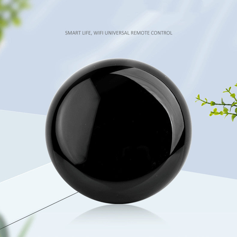 Smart WIFIAlexa Voice Timing Remote Control